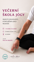 Večerní škola jógy: objevte souvislosti, které běžná lekce neukáže